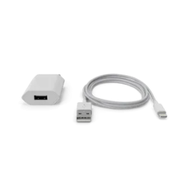 Apple iPhone Charger