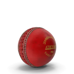 Cricket Ball