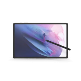 Samsung Galaxy Tab S8 Plus Grey