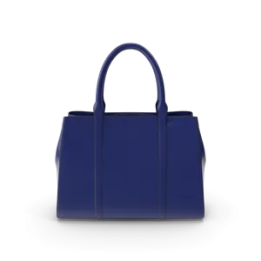 Blue Women's Handbag