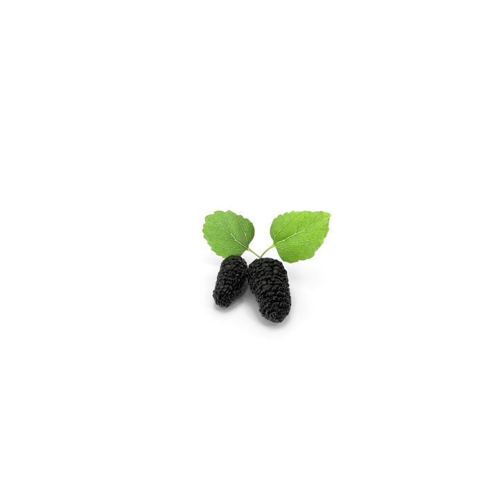 Mulberry
